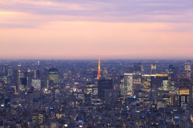 Tokyo şehir manzarası