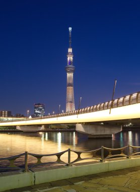 Tokyo gökyüzü ağaç görünümü