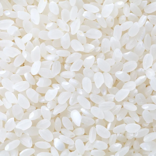 日本の白い米 — ストック写真