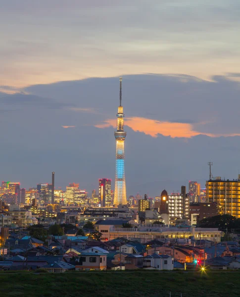 Tokyo gökyüzü ağaç görünümü — Stok fotoğraf