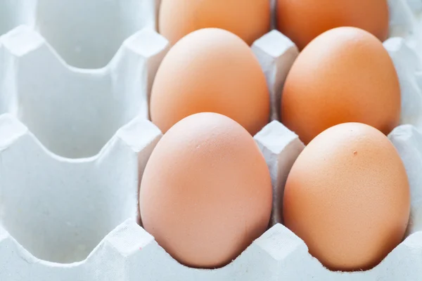 Chicken brown eggs — Stock Photo, Image