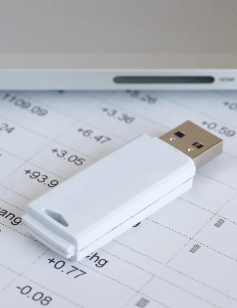 thebrain 9 flashdrive