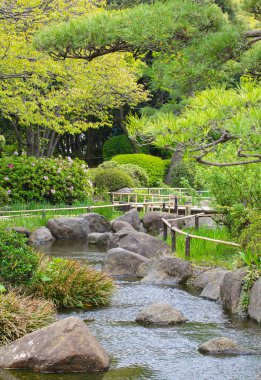 yeşil bir Japon bahçesi