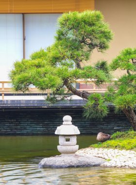 yeşil bir Japon bahçesi