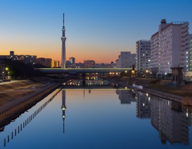 Tokyo Sky ağaç