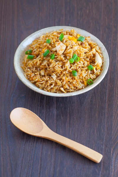 Stekt ris med kyckling — Stockfoto