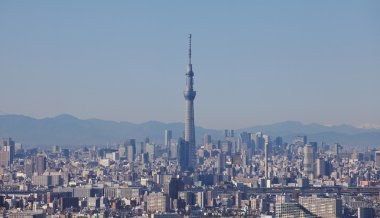 tokyo şehir manzarası