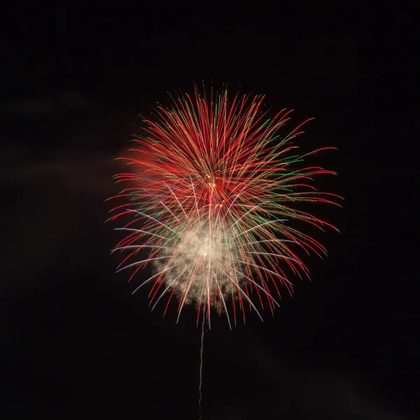 Colorful firework at night — Stock Photo, Image