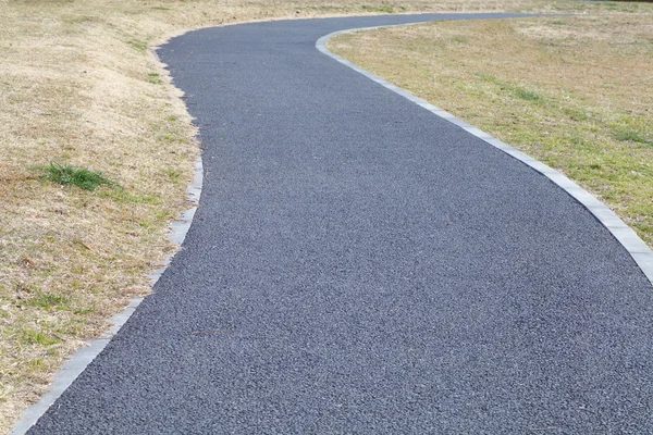 Camino de piedra en el parque — Foto de Stock