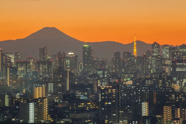 东京市观点 — 图库照片