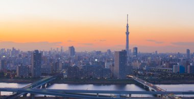 Tokyo gökyüzü ağaç ve Sumida Nehri