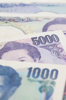 Japonca yen banknotlar