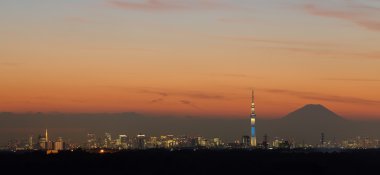 Tokyo şehir manzaralı