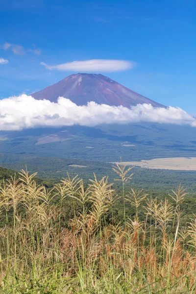 Fuji Dağı ve Gölü yamanakako — Stok fotoğraf