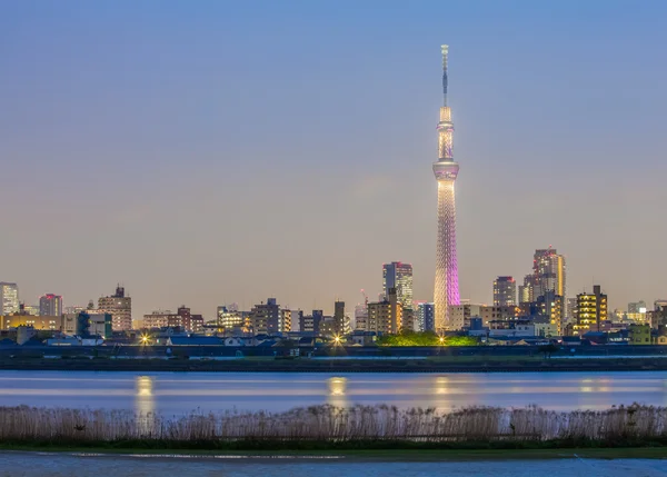 Tóquio vista da cidade — Fotografia de Stock