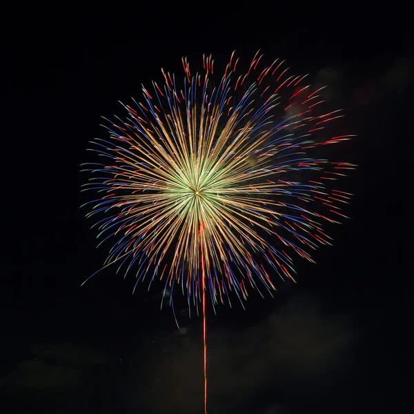 Kleurrijke vuurwerk op zwart — Stockfoto