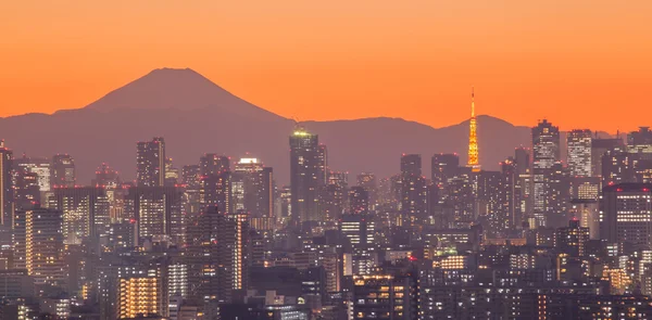 Vista sulla città di Tokyo — Foto Stock