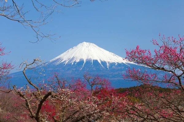 Góra fuji widoku — Zdjęcie stockowe