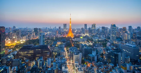 Tokyo Tower i Tokio cit — Zdjęcie stockowe