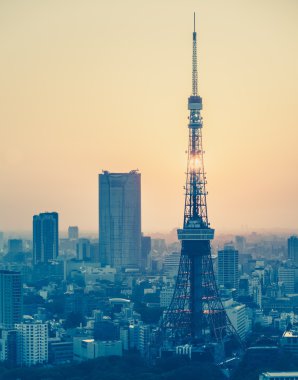 Tokyo şehir manzaralı akşam