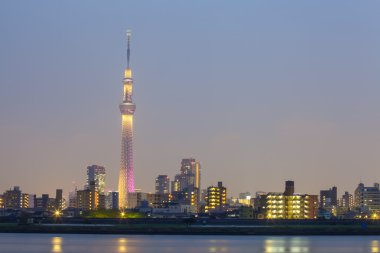 Tokyo şehir manzaralı akşam