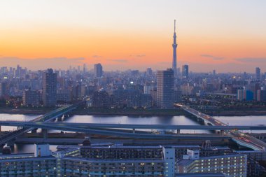 Tokyo şehir manzaralı akşam