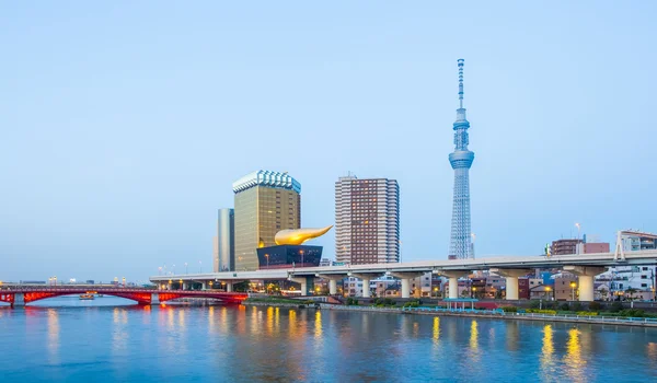 Vista sul skytree di Tokyo — Foto Stock