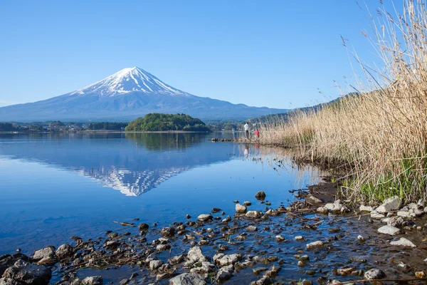 Με θέα στο βουνό fuji — Φωτογραφία Αρχείου