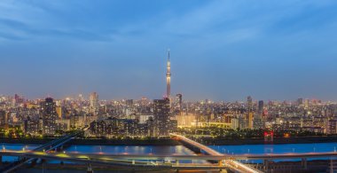 Tokyo şehir manzarası