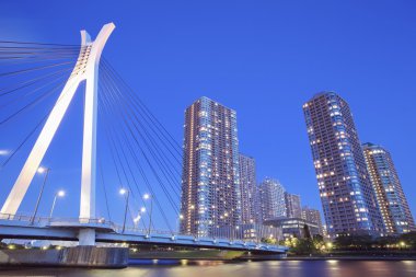 Tokyo şehir manzarası