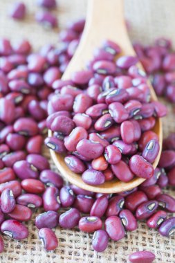 Adzuki fasulyesi veya kırmızı fasulye