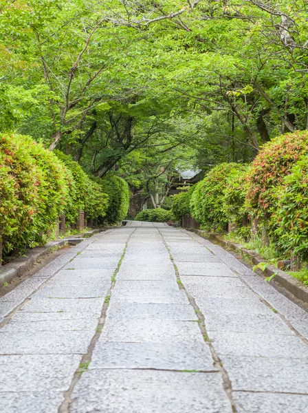 Hermoso jardín japonés — Foto de Stock