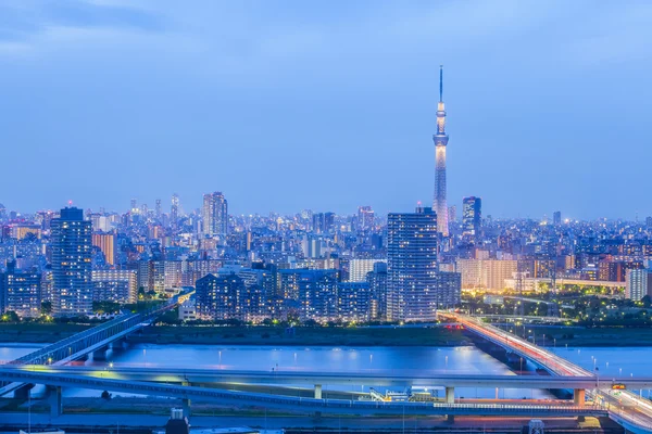 Vista sulla città di Tokyo — Foto Stock