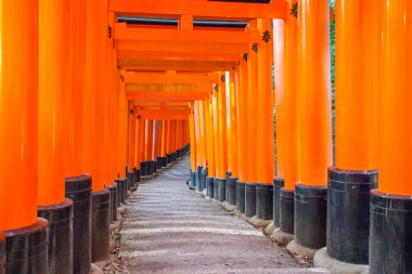 Fushimi Inari Tapınak
