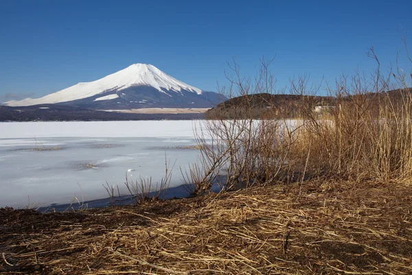 Berg fuji und Meer bei miho — Stockfoto