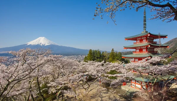 富士山景 — 图库照片