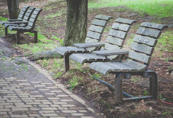 Benches at pubic park — Stockfoto