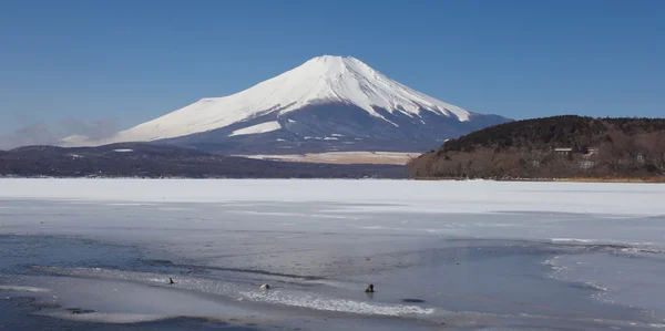 Mountain Fuji and Lake Yamanakako — Stock Photo, Image