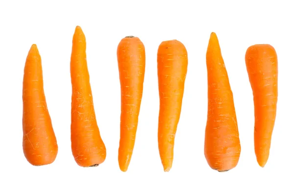 Línea de zanahorias frescas y dulces —  Fotos de Stock