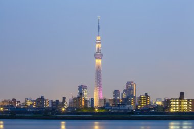 Tokyo sky tree in evening