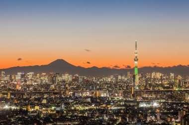 Tokyo şehir manzaralı akşam