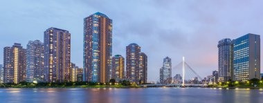 The high rise buildings