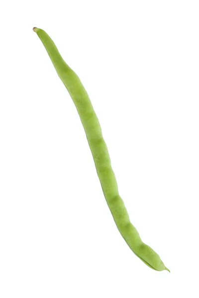 Verse yardlong bean — Stockfoto