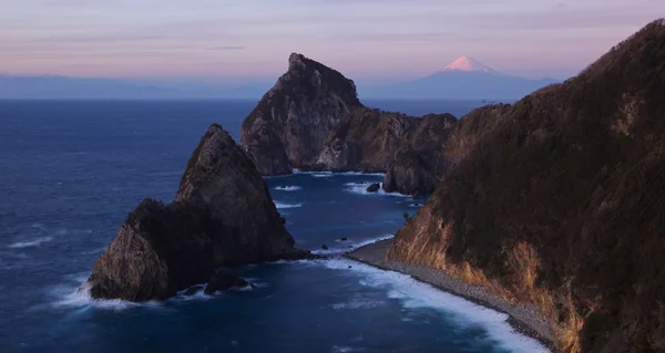 富士山和海 — 图库照片