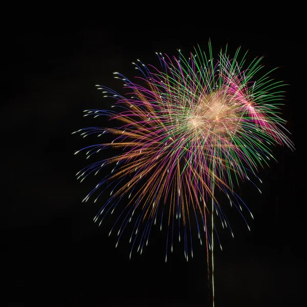 Buntes Feuerwerk in der Nacht — Stockfoto