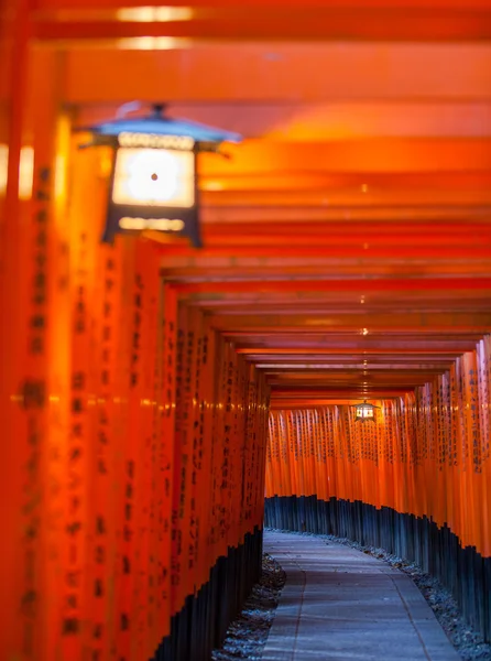 Vermilion torii gates — Stock Photo, Image