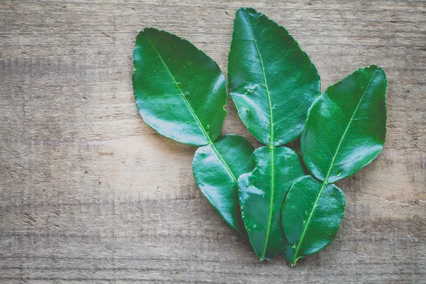 Kaffir lime leaves — Stock Photo, Image