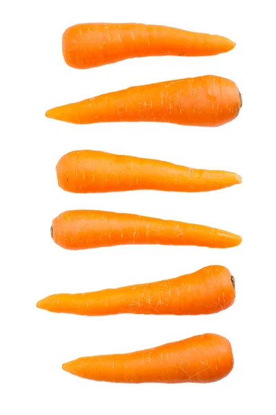 Cenoura fresca e doce — Fotografia de Stock