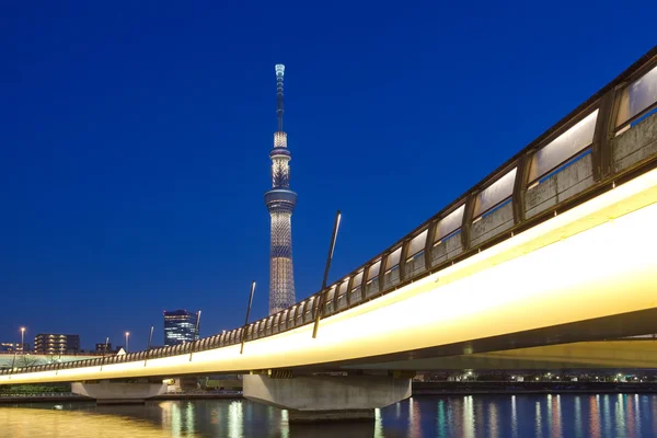 Pohled na město Tokio — Stock fotografie