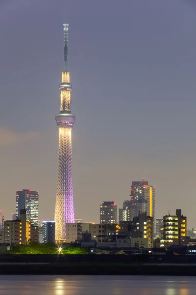 Vista sulla città di Tokyo — Foto Stock